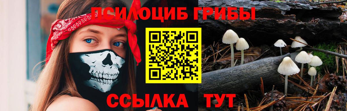 Псилоцибиновые грибы Magic Shrooms  Вход с VPN  Коркино  Галлюциногенные грибы прущие грибы 